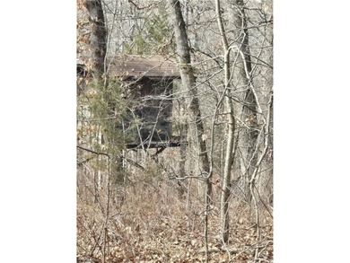 Discover 32 acres of pure, untouched land an ideal retreat for - photo 19