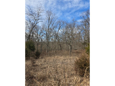 Discover 32 acres of pure, untouched land an ideal retreat for - photo 20