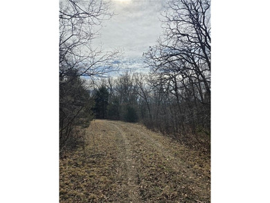 Discover 32 acres of pure, untouched land an ideal retreat for - photo 21