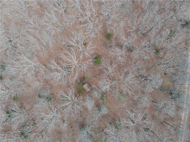 Discover 32 acres of pure, untouched land an ideal retreat for - photo 29