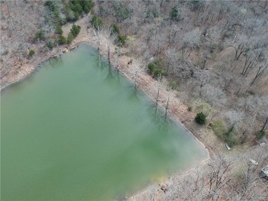 Discover 32 acres of pure, untouched land an ideal retreat for - photo 34