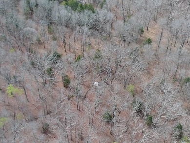 Discover 32 acres of pure, untouched land an ideal retreat for - photo 36