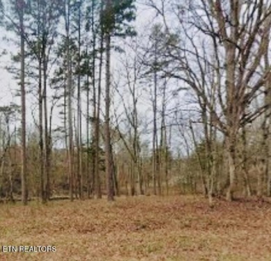 Lake Acreage For Sale in Lenoir City, Tennessee