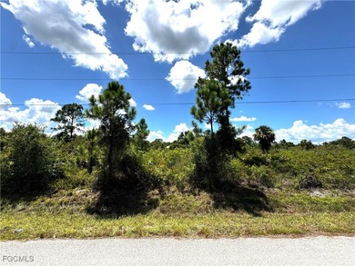 Lehigh Acres Area Lot For Sale in Lehigh Acres Florida
