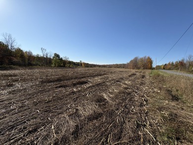 Lake Acreage For Sale in Mooers, New York