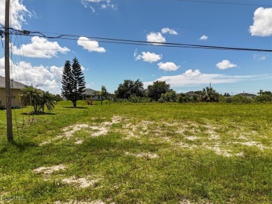 Lake Lot For Sale in Cape Coral, Florida