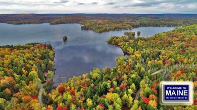 Lake Acreage For Sale in Linneus, Maine