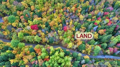 Land In Maine For Low Cost Vacation Getaways. Work, Work Some - photo 2