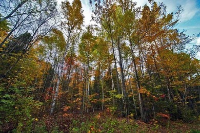Land In Maine For Low Cost Vacation Getaways. Work, Work Some - photo 7