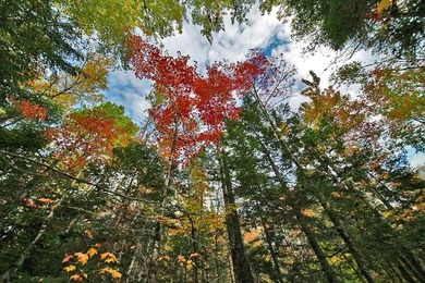 Land In Maine For Low Cost Vacation Getaways. Work, Work Some - photo 8