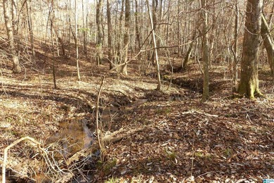 THIS IS A 3.08 ACRE TRACT WITH 654 FEET OF SHORELINE WITH A NICE - photo 3