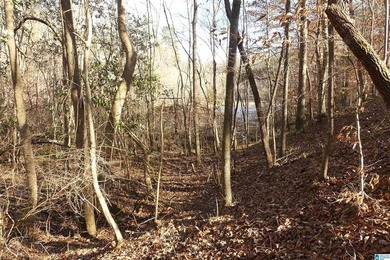 THIS IS A 3.08 ACRE TRACT WITH 654 FEET OF SHORELINE WITH A NICE - photo 4
