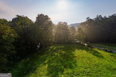 Lake Acreage For Sale in Ellijay, Georgia