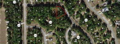 Rush Lake Lot For Sale in Citrus Springs Florida