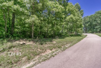 Lake Lot Off Market in Sparta, Tennessee