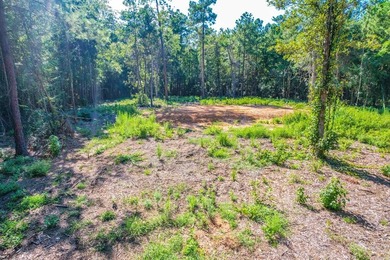 Lake Sam Rayburn  Lot For Sale in Jasper Texas