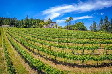 Sited on a sun-struck knoll on 18+ acres surrounded by prime - photo 9
