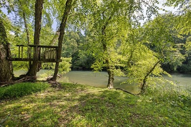 The Ultimate Mountain Lifestyle living in this Charming Hiwassee - photo 50