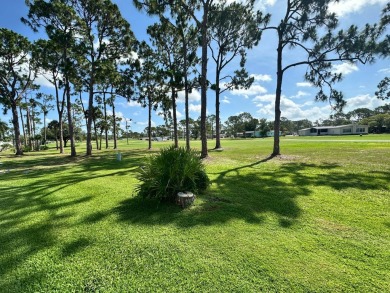 Cape Coral Lakes Area Home For Sale in North Fort Myers Florida