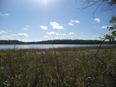 Lake Lot For Sale in Backus, Minnesota