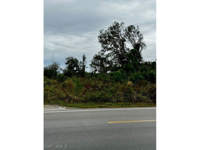 PRICED TO SELL! 1-Acre Corner Lot in Beautiful Bokeelia - High - photo 3