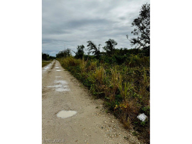 PRICED TO SELL! 1-Acre Corner Lot in Beautiful Bokeelia - High - photo 4