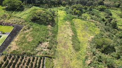 Unique opportunity to own 13+ acres with forever views in the - photo 21