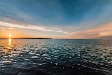 Coastal Living At Honeymoon Island! Welcome home to # 312 at the - photo 22
