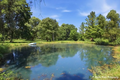 Truly unique property from top to bottom! This 5 bedroom, 3 full - photo 8