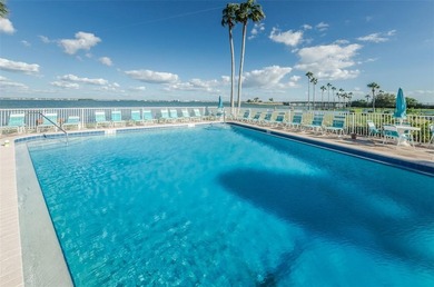 Coastal Living At Honeymoon Island! Welcome home to # 312 at the - photo 50