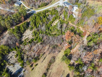 Less than one mile from Safe Harbor Beaver Creek Marina and - photo 7