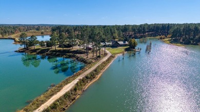 (private lake, pond, coastal) Home For Sale in Sallis Mississippi