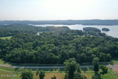 Lake Acreage For Sale in Rockwood, Tennessee