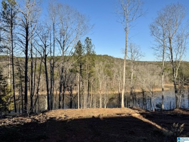 Lake Lot For Sale in Lineville, Alabama