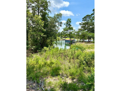 WATERFRONT! 3 LOTS of pure lake fun & endless potential. Bring - photo 3