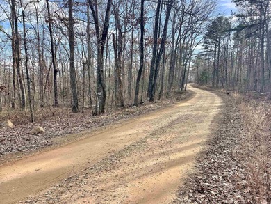 (private lake, pond, creek) Acreage For Sale in Clinton Arkansas