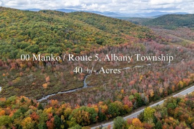  Acreage For Sale in Albany Twp Maine