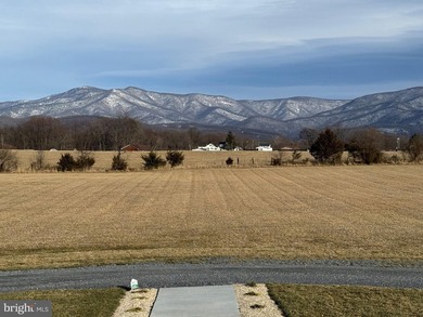 PANORAMIC BLUE RIDGE VIEWS - Experience refined country living - photo 4