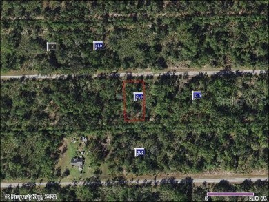 Lake Weohyakapka (Lake Walk-In-Water) Lot For Sale in Indian Lake Estates Florida