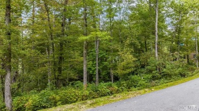 Lake Lot For Sale in Cashiers, North Carolina