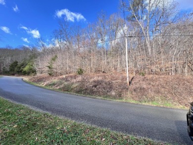 Lake Lot For Sale in New Tazewell, Tennessee