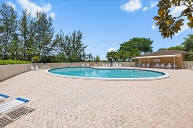 Welcome to your dream penthouse condo in the heart of Deerfield - photo 29