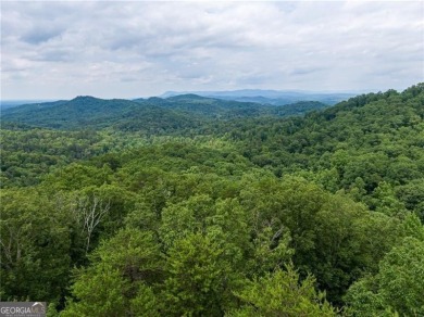 Lake Lot For Sale in Ranger, Georgia