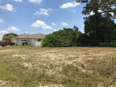 Exceptional opportunity to acquire a commercial vacant lot with - photo 3