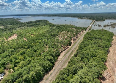+/-20 acres on Lake Sam Rayburn! Rare opportunity to own - photo 3