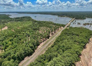 +/-20 acres on Lake Sam Rayburn! Rare opportunity to own - photo 4