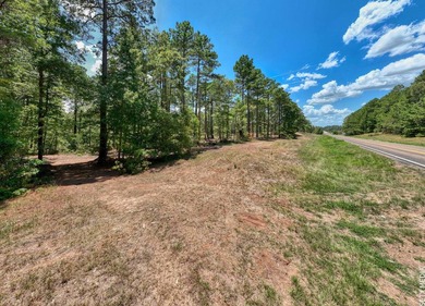 +/-20 acres on Lake Sam Rayburn! Rare opportunity to own - photo 6