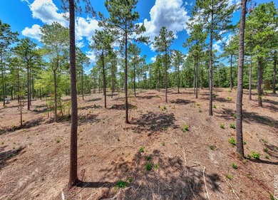 +/-20 acres on Lake Sam Rayburn! Rare opportunity to own - photo 8