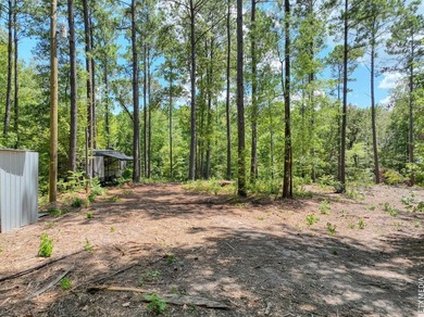 +/-20 acres on Lake Sam Rayburn! Rare opportunity to own - photo 9