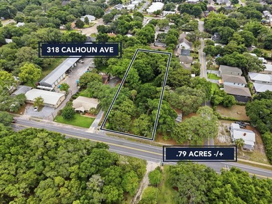 Rare opportunity to own approximately 0.79 acres in the heart of - photo 1